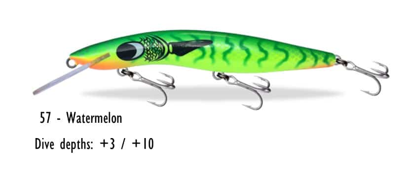 Barra Classic 10ft 120mm - Image 29