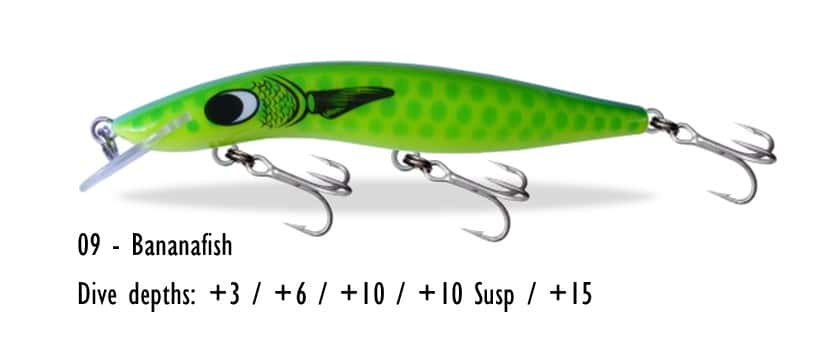 Barra Classic 10ft 120mm - Image 6