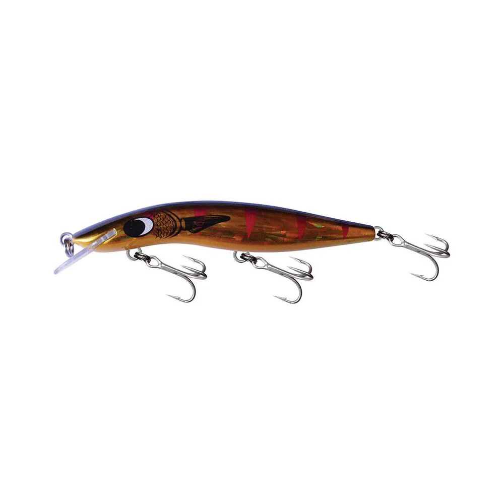 Barra Classic 20ft 120mm - Image 4