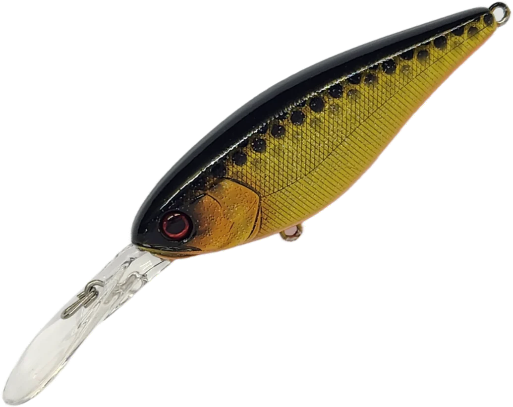 Jackall Super Squirrel Flat 79mm - Image 4