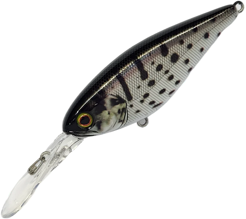 Jackall Super Squirrel Flat 79mm - Image 5