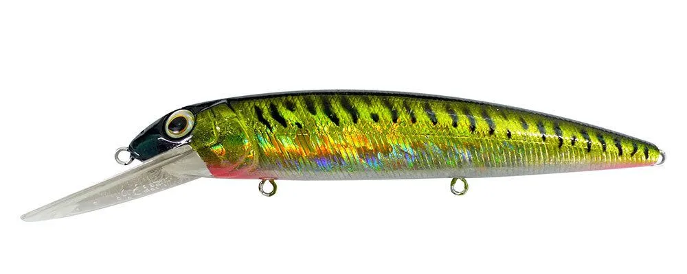 Reidys Judge 125mm - Image 3