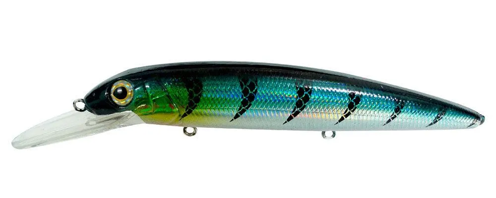 Reidys Judge 125mm - Image 4