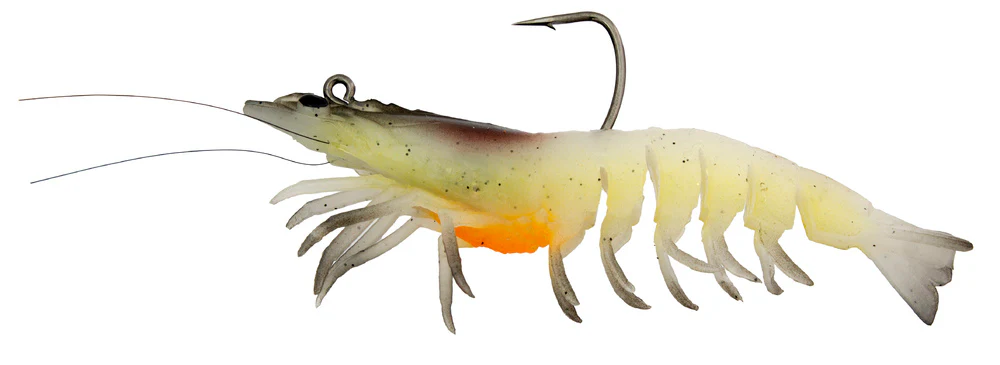 Zerek Absolute Shrimp - Image 4