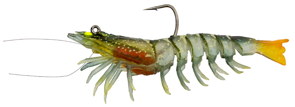 Zerek Absolute Shrimp - Image 5