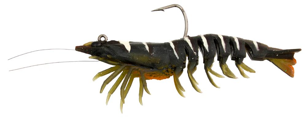 Zerek Absolute Shrimp - Image 7