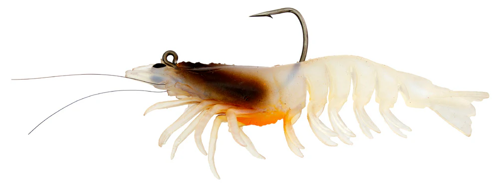 Zerek Absolute Shrimp - Image 9