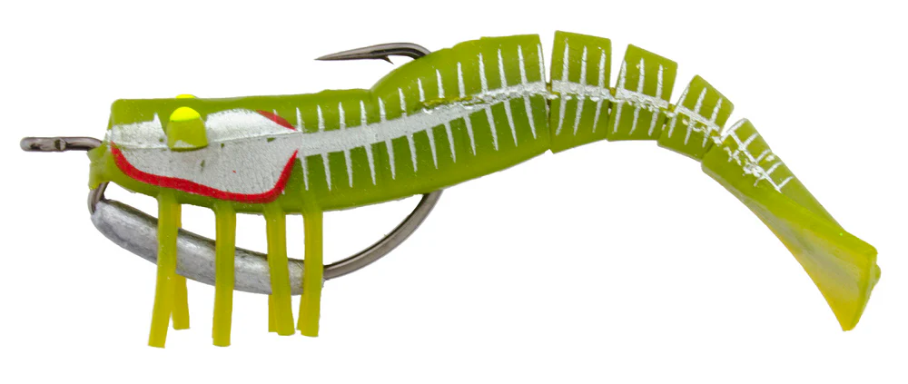 Zerek Live Shrimp - Image 6